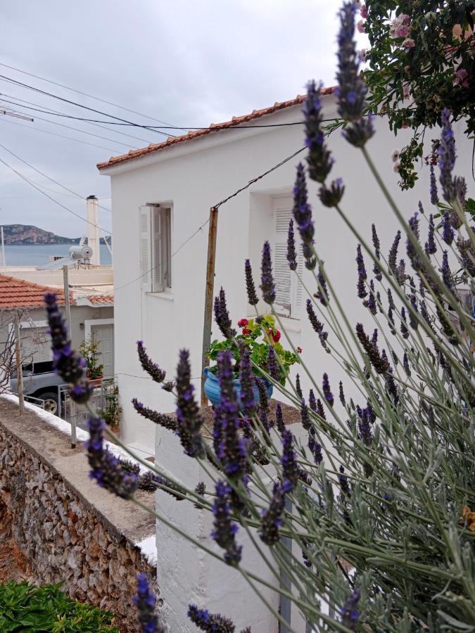 George Traditional House Πύλος Εξωτερικό φωτογραφία